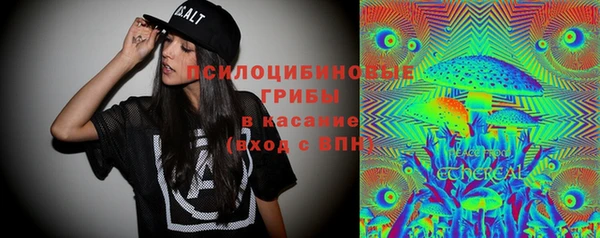 твердый Алексеевка