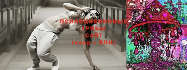 твердый Алексеевка
